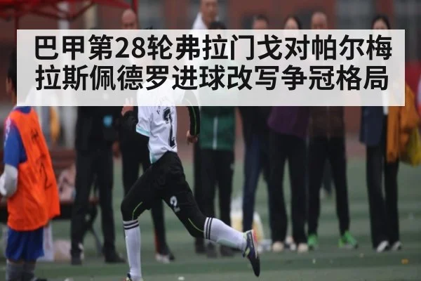 巴甲第28轮弗拉门戈对帕尔梅拉斯佩德罗进球改写争冠格局